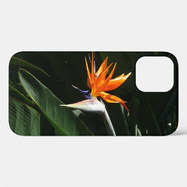 Coques Case-Mate iPhone Flower tropical orange paradise (Verso (horizontal))