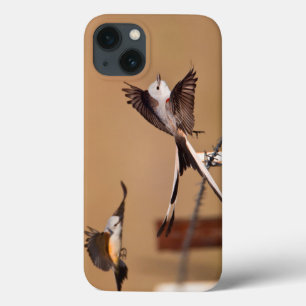 iPhone 13 Coque FLYCATCHER Ciseaux-Coupés la queue (Tyrannus