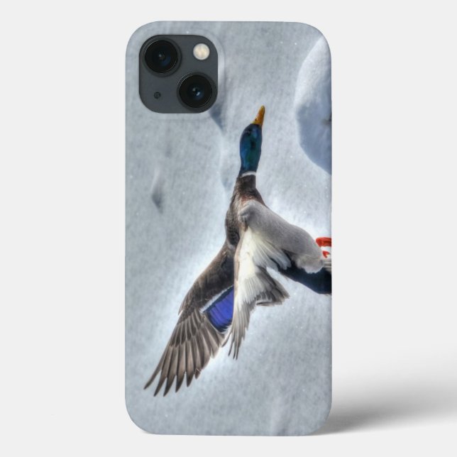 Coques Case-Mate iPhone Flying Mallard Duck Drake 4 Wildlife Photo (Verso)