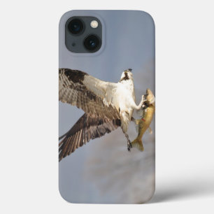 Etui iPhone 13 Flying Osprey & Fish 5 Wildlife Photography