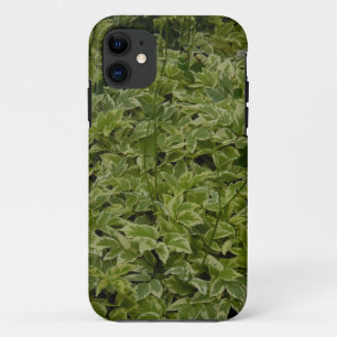 Case-Mate iPhone Case Foliage