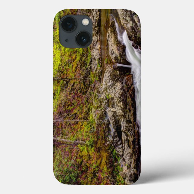 Coques Case-Mate iPhone Forest Stream In Great Smoky Mountains (Verso)