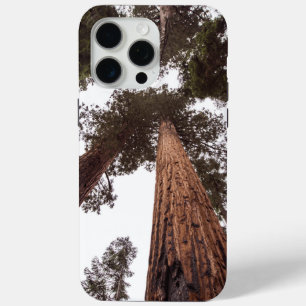 Coque Case-Mate iPhone forêt, arbre