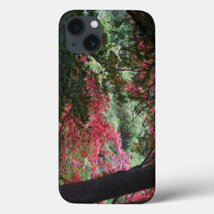 iPhone 13 Case Forêt d'automne