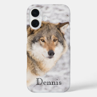 Coque Pour iPhone 16 Forêt d'hiver du loup