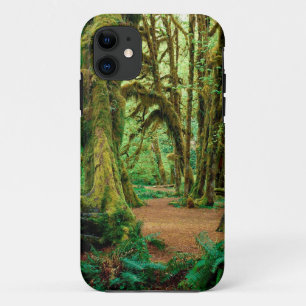 Coque iPhone 11 Forêt Hall de mousses olympiques