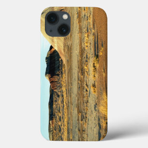 iPhone 13 Coque Forêt Pétrifiée Désert