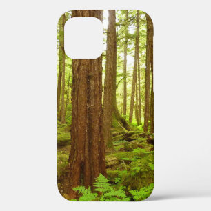 Case-Mate iPhone Case Forêt pluviale tempérée de l'Alaska