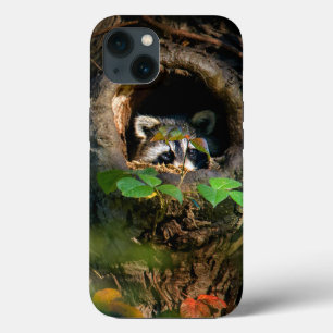 Case-Mate iPhone Case Forêt Raccoon Peeking