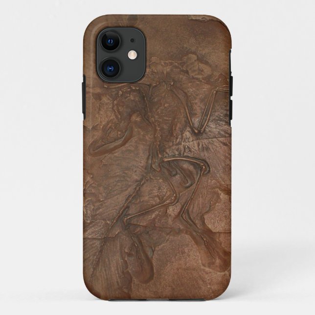 Coques Case-Mate iPhone Fossile d'archéoptéryx - Casemate (Dos)