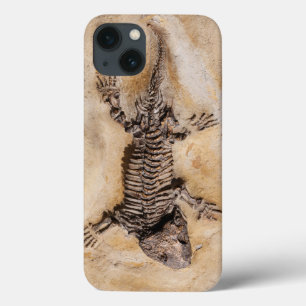 iPhone 13 Coque Fossile de dinosaure antique en pierre