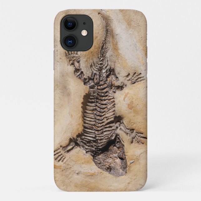 Coques Case-Mate iPhone Fossile de dinosaure antique en pierre (Dos)