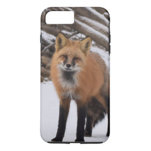 Coque Case-Mate Pour iPhone Fox