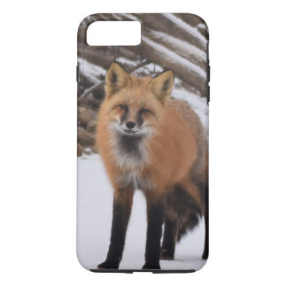 Coque Case-Mate Pour iPhone Fox