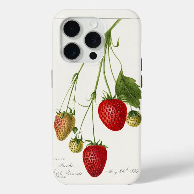 Coques Case-Mate iPhone Fraises vintages (Verso)