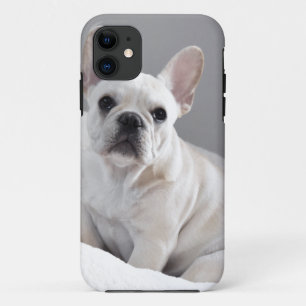 Coque iPhone 11 Frenchie crème