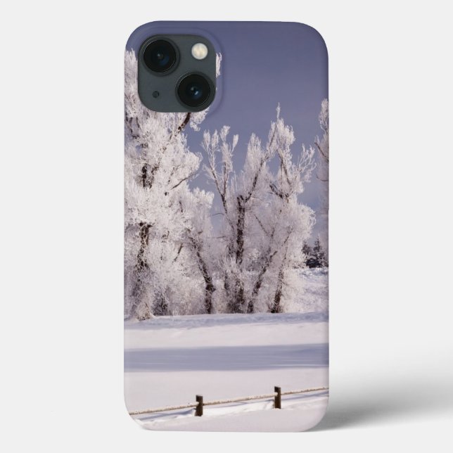 Coques Case-Mate iPhone Frost a couvert les arbres et la barrière, le (Verso)