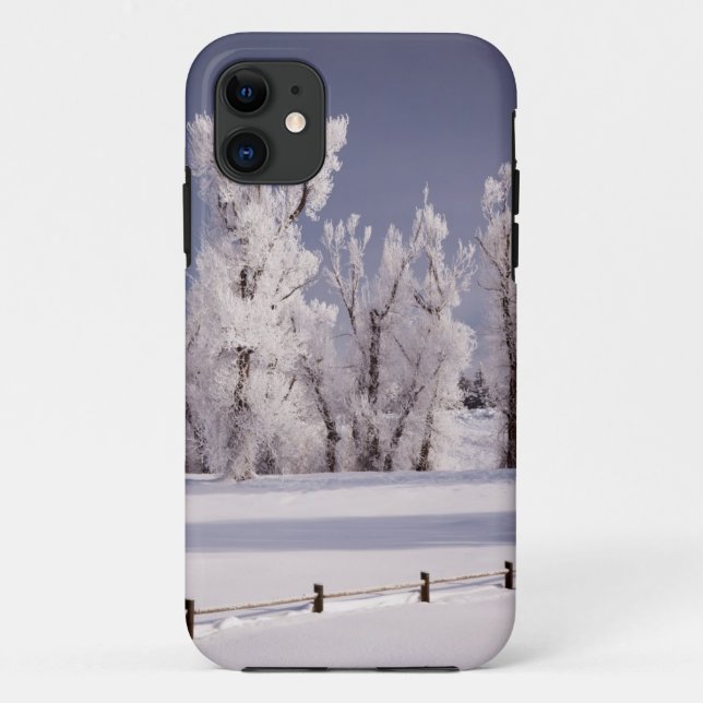 Coques Case-Mate iPhone Frost a couvert les arbres et la barrière, le (Dos)