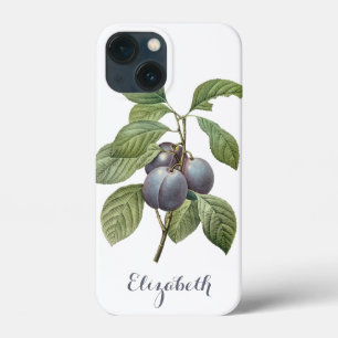 iPhone 13 Mini Case Fruits alimentaires anciens, prunes de jardin viol