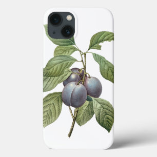 Coque Case-Mate iPhone Fruits alimentaires vintage, prunes de jardin viol