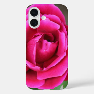 Coque Pour iPhone 16 Fuchsia Rose Rose Fleur Coque-Mate