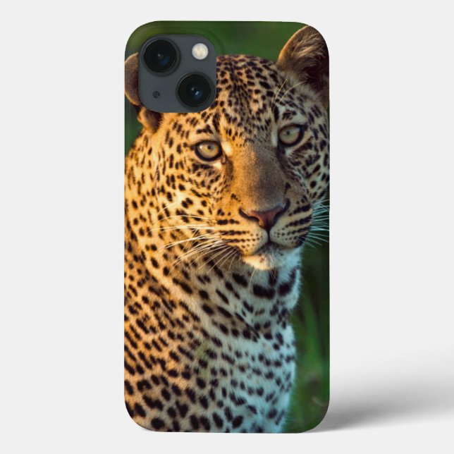 Coques Case-Mate iPhone Full-Grown Cub (Verso)