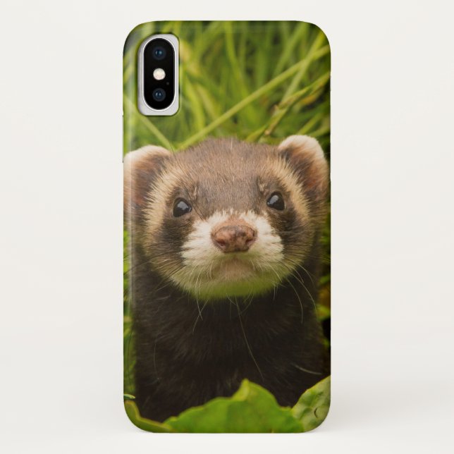 Coques Case-Mate iPhone Furet Brun Mignon dans l'Herbe (Dos)