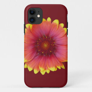 Case-Mate iPhone Case Gaillardia 1