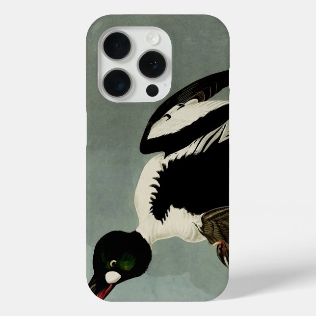 Coques Case-Mate iPhone Garrot commun canard de mer  (Verso)