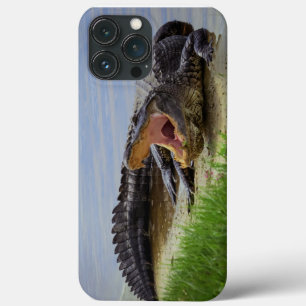 Etui iPhone 13 Pro Max Gator