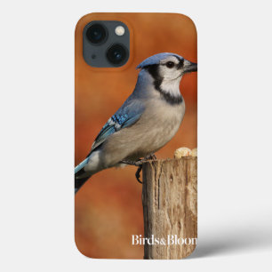 Etui iPhone 13 Geai bleu