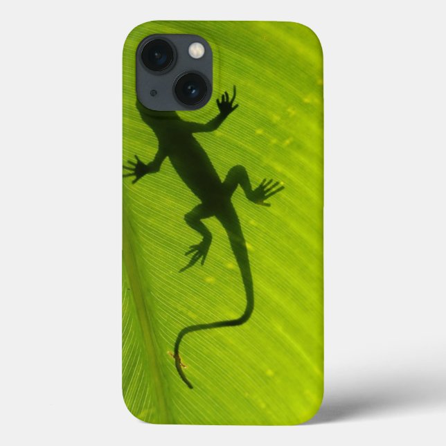 Coques Case-Mate iPhone Gecko Silhouette (Verso)
