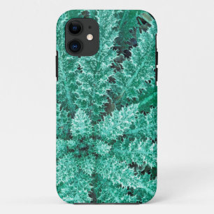 Coque iPhone 11 Gelée sur chardon, Parc national Olympique