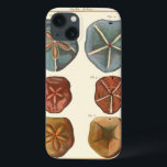 Case-Mate iPhone Case Gemmes Dollars De Sable<br><div class="desc">Les dollars de sable sont un bijou marin très unique. Cette image englobe des dollars de sable très uniques et colorés. Diderot a comparé ces dollars de sable à un arrière - plan de couleur crème douce. Obtenez vos gemmes de dollar de sable sur votre produit zazzle aujourd'hui.</div>
