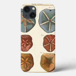 Case-Mate iPhone Case Gemmes Dollars De Sable