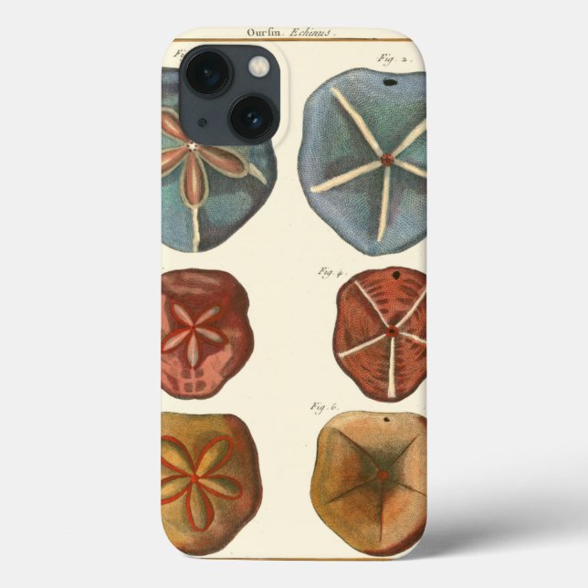 Coques Case-Mate iPhone Gemmes Dollars De Sable (Verso)