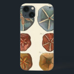 Coques Pour iPhone Gemmes Dollars De Sable<br><div class="desc">Les dollars de sable sont un bijou marin très unique. Cette image englobe des dollars de sable très uniques et colorés. Diderot a comparé ces dollars de sable à un arrière - plan de couleur crème douce. Obtenez vos gemmes de dollar de sable sur votre produit zazzle aujourd'hui.</div>
