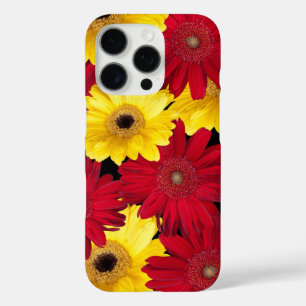 Coques iPhone 16 Pro Gerber Daisy Flower Gros plan Photographie