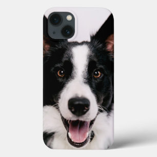Etui iPhone 13 Getty Images   A Smiling Border Collie