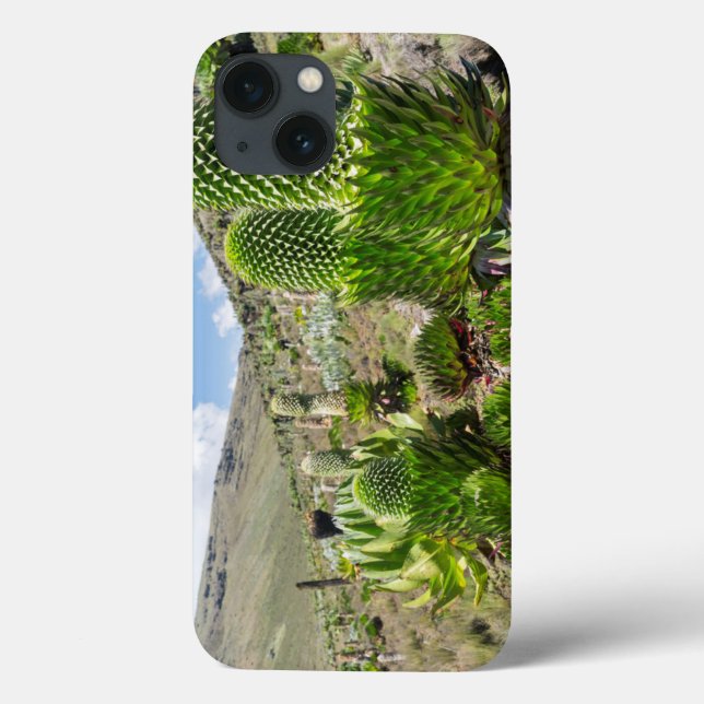 Coques Case-Mate iPhone Giant Lobelia (Lobelia Deckenii) In Mount Kenya (Verso)