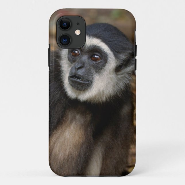 Coques Case-Mate iPhone Gibbon (Hylobates Lar) à poitrine blanche, singe (Dos)