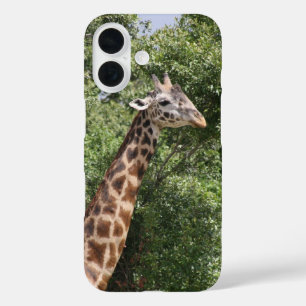 Coque Pour iPhone 16 girafe