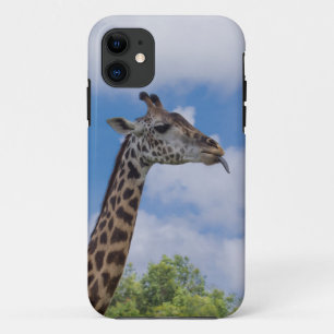 Case-Mate iPhone Case Girafe, animal terrestre