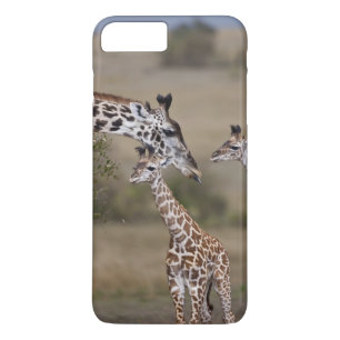 Coque iPhone 7 Plus Girafe maasaï (Giraffa tippelskirchi)