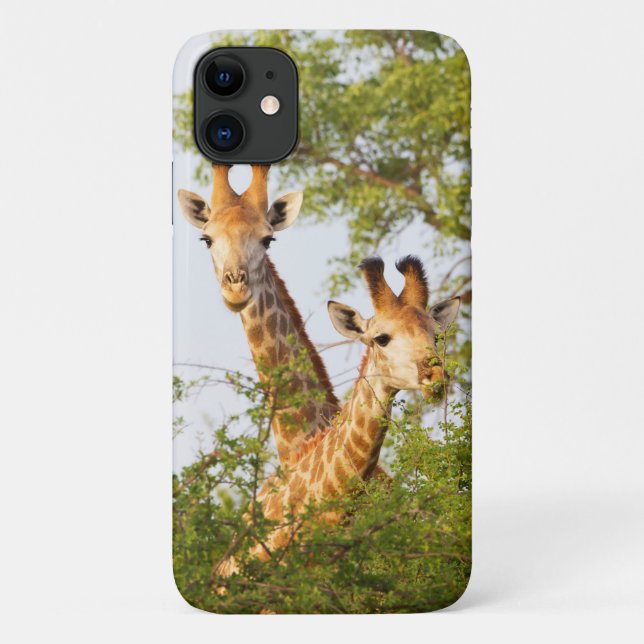Coques Case-Mate iPhone Girafes dépassant de la végétation (Dos)