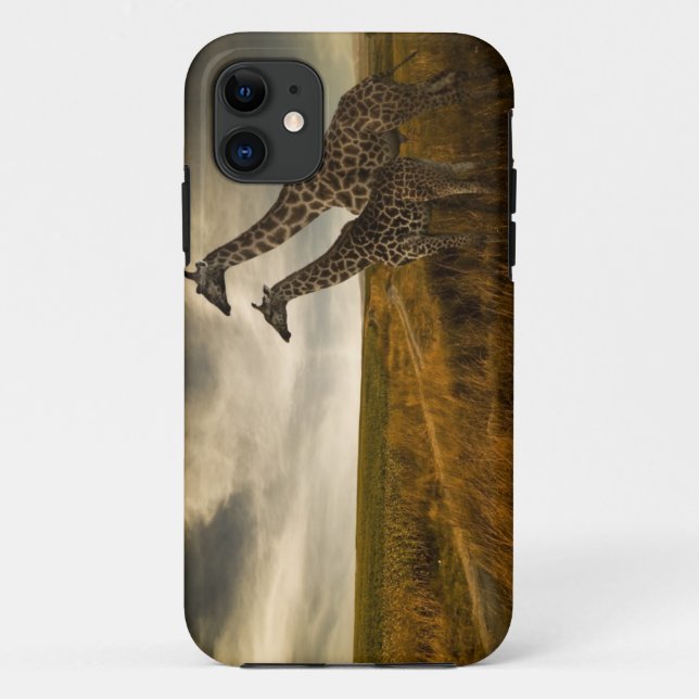 Coques Case-Mate iPhone Girafes et le paysage (Dos)