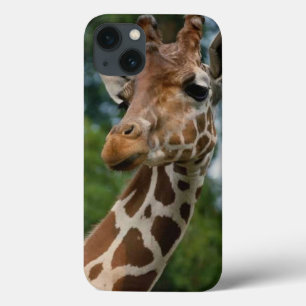 Case-Mate iPhone Case Giraffe