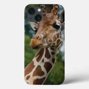 Coques Pour iPhone Giraffe