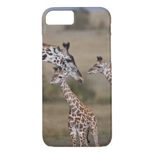 Coque Case-Mate Pour iPhone Giraffe Masaï (Giraffe Tippelskirchi)