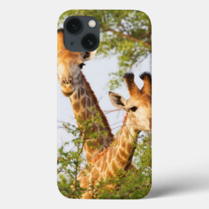Case-Mate iPhone Case Giraffes Peeking Above Vegetation